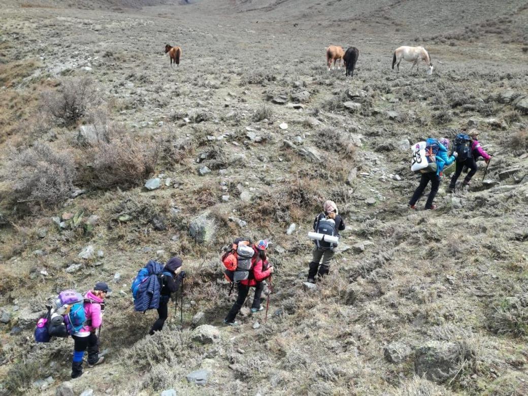 Nomade Mountain House Potrerillos